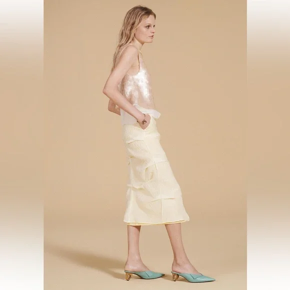 Zara | Skirts | Zara Jacquard Organza Skirt Limited Edition